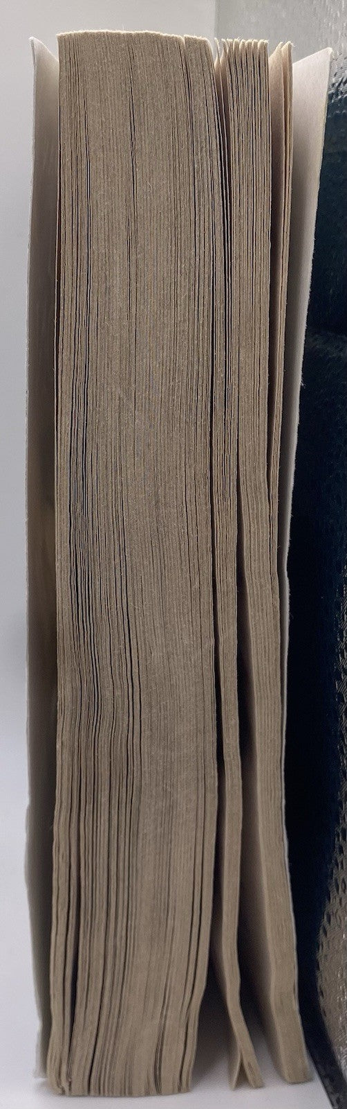 The Lightning Thief Percy Jackson and the Olympians #1 Rick Riord