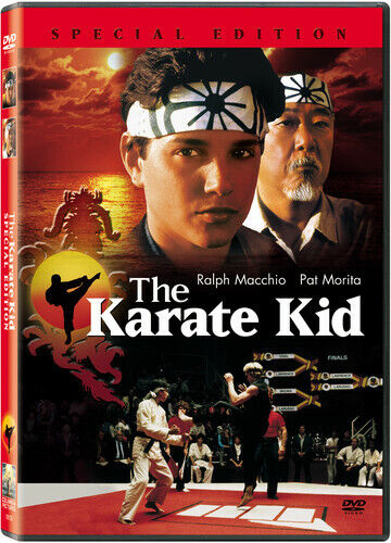 The Karate Kid (DVD, 1984) (tested Still Playable !)