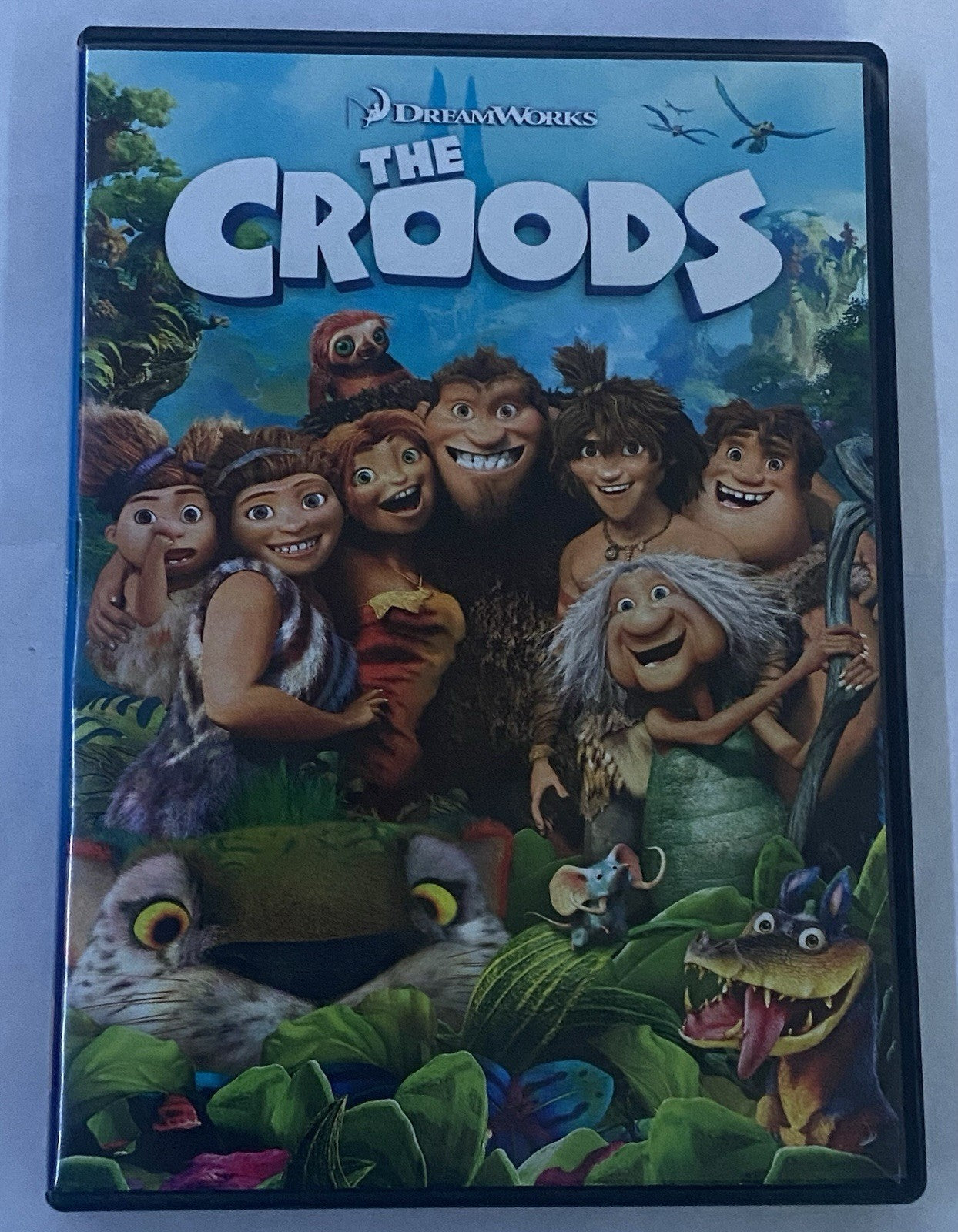 The Croods (DVD)