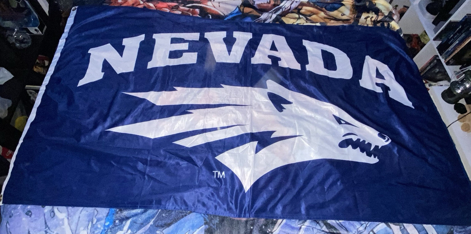 University of Nevada Large 4x6 Flag