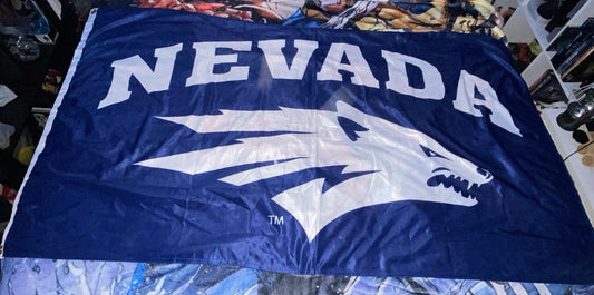 University of Nevada Large 4x6 Flag