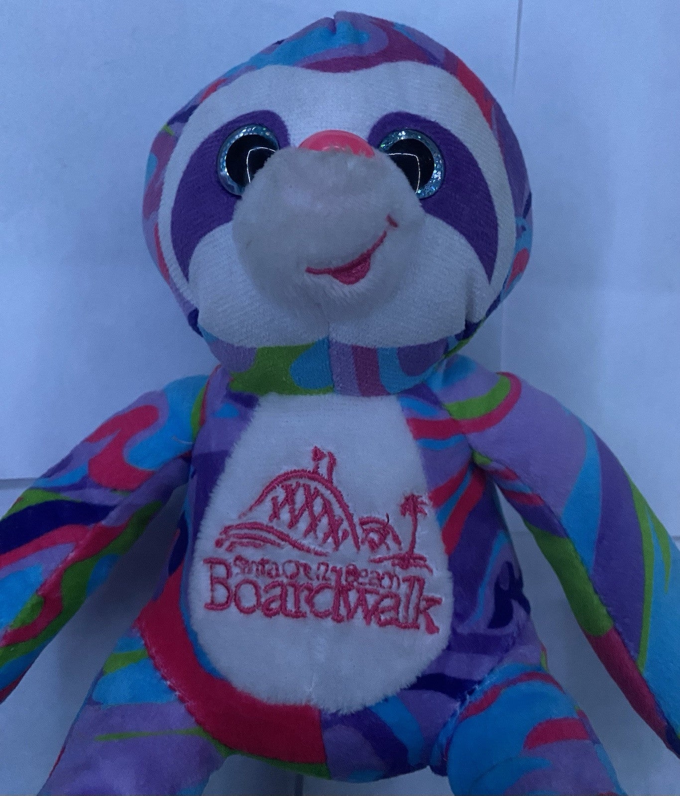 Colorful Teddy Beat Plush